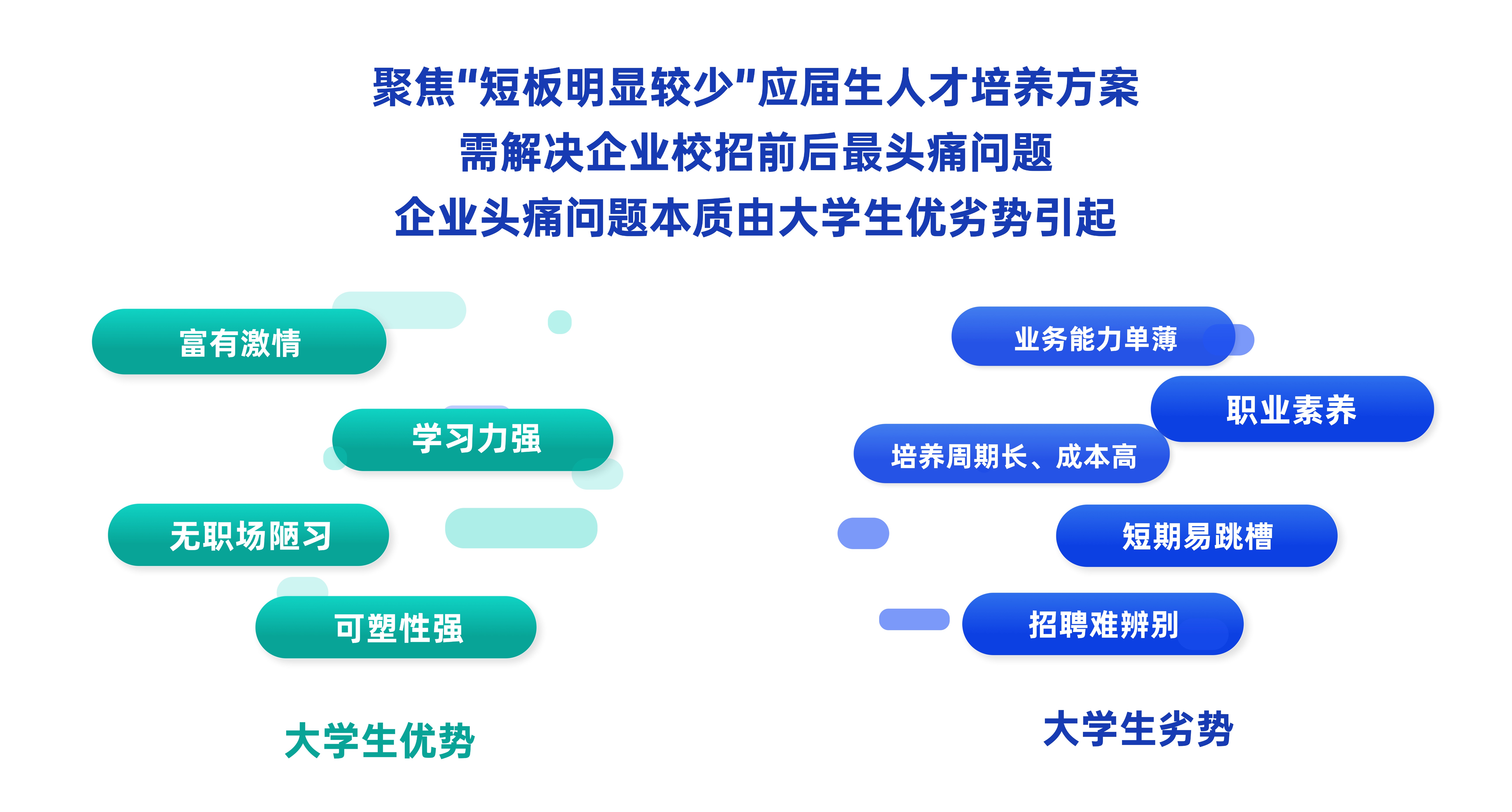 描述